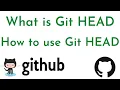 What is Git HEAD How to use Git HEAD GitHub Tutorial