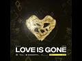 Love Is Gone