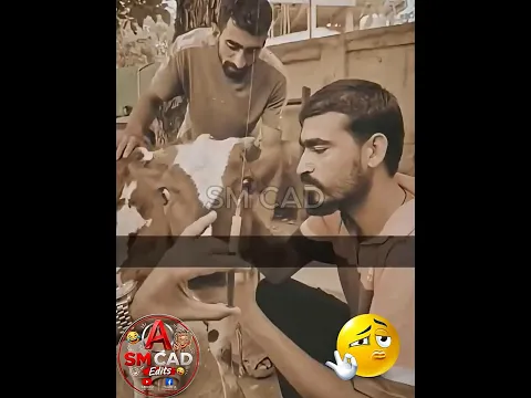 Blind animal 🐮 doctor 🩺 funny clip #funny #funnyexpression