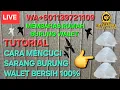 TUTORIAL CARA MENCUCI SARANG BURUNG WALET BERSIH SERATUS PERSEN