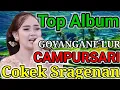 Download Lagu PALING MANTEP BUAT TEMAN NGOPI DENGERIN CAMPURSARI COKEK SRAGENAN