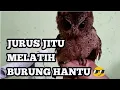 Download Lagu JURUS JITU MELATIH BURUNG HANTU