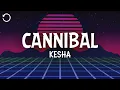 Download Lagu Kesha - Cannibal (Lyrics)