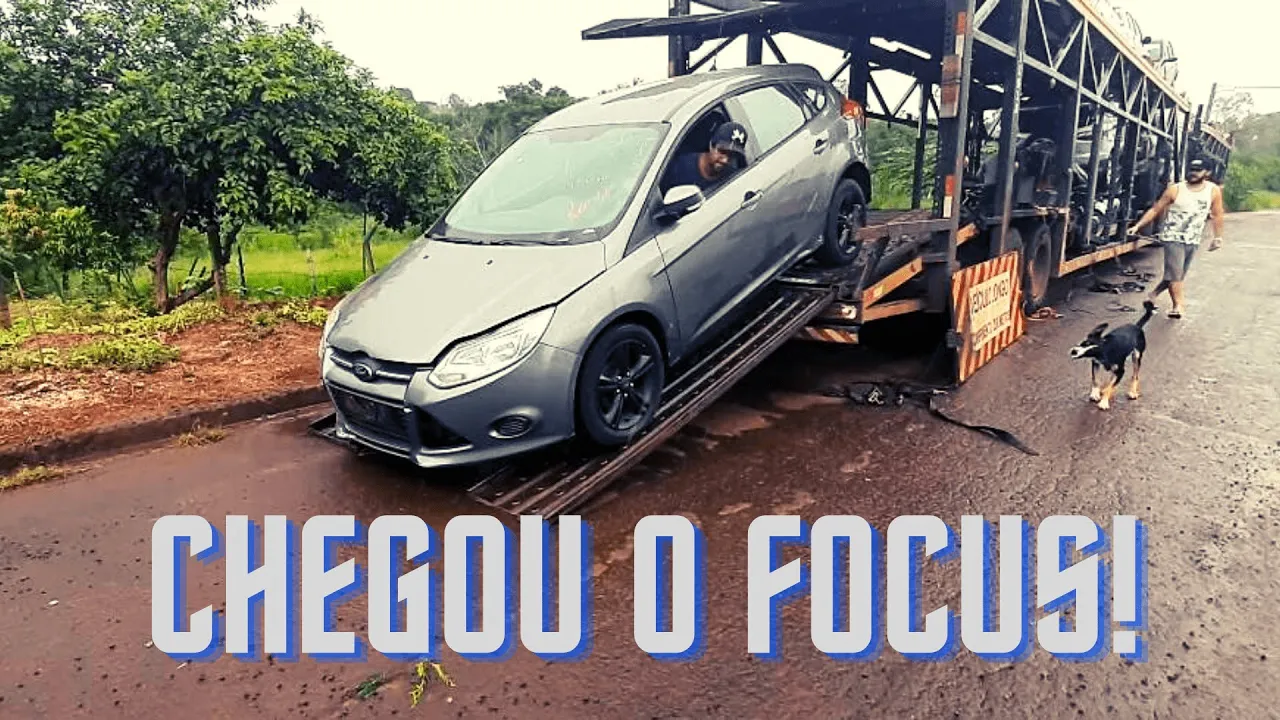 Chegou o Focus 2014 do leilão!