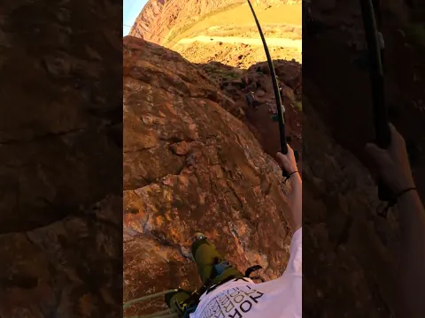 Not a good climber 🤣