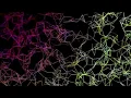 Processing Particle Experiment