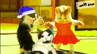 اغنية جيهان اجمل اغنية علي اسم جيهان 