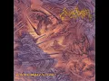 Sons Of Vengeance - Angel Corpse