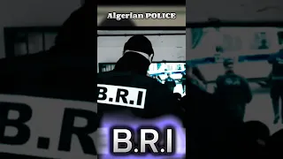 الشرطة الجزائرية BRI Shorts 