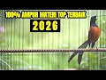 Lagu MASTERAN MURAI BATU FULL TEMBAKAN MEWAH BONGKAR MATERI TERBAIK 2026