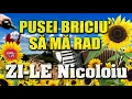 Download Lagu MUZICA DE PETRECERE - GEORGE NICOLOIU - Pusei briciul sa ma rad - Multi ani traiasca - Hora Joc