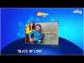 Sling TV - Desi Binge Plus Pack The ultimate subscription for Desi entertainment in the US