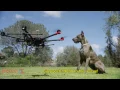 Introducing the Petco DooDoo Drone Petco