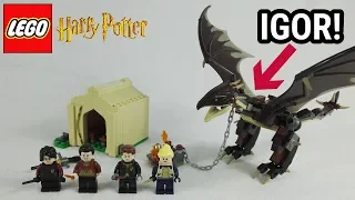 IGORs Rückkehr! | LEGO Ungarischer Hornschwanz 75946 Review | Harry Potter 2019