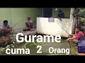 Download Lagu Busettt...mancing gurame cuma 2 orang ‼️‼️ lulah ‼️mantap