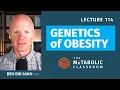 Download Lagu 114: The Real Cause of Fat Gain: Genetics, Hormones, and Insulin with Dr. Ben Bikman