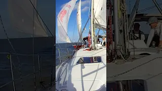 2024 GBCA Rum Race No. 2 #shorts #water #sailing #racing #texas #boat #wind