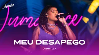 ludmilla meu desapego numanice 2 ao vivo