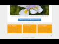 Responsive WordPress Theme change Home Widgets Background and Title color