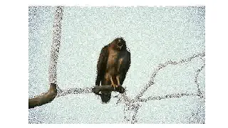 Image Segmentation Graph-CUT algorithm python