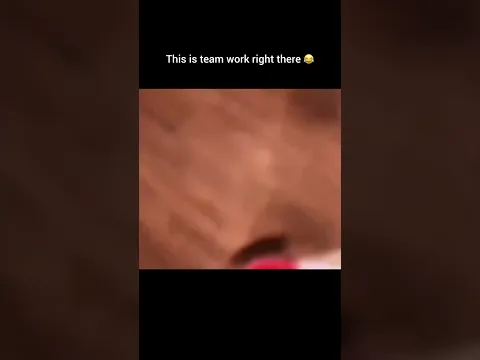 This is team work right there 😂