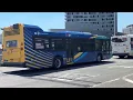 MTA NYCT Buses St George Ferry Terminal S40 S44 S48 S51 S52 S66 S74 S76 S78