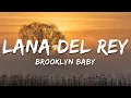 Download Lagu Lana Del Rey - Brooklyn Baby (Lyrics)