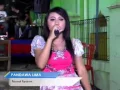 Download Lagu bojo ketikung-SAVANA-terbaru-2016- pandawa 5 sound