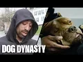 RIP The King Of The Pitbulls DOG DYNASTY