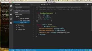 JavaScript Static Analysis - Using Flow