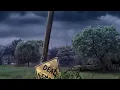 Gorillaz - Ascension (Official Visualiser)