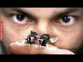 Download Lagu Роботы-насекомые [Veritasium]