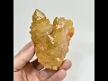 3 85 Iridescent SUNSHINE Cactus Spirit QUARTZ Crystal Cluster South Africa Q895