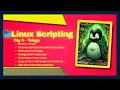 Day 5 Loops in Bash Script - for while until break continue Explained with Examples