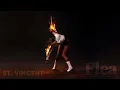 St. Vincent - Flea
