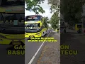 Download Lagu GACOR KLAKSON BUS BASURI STECU SYECU #shorts #klaksonbus #stecu #klaksonbasuri #viral #shortsviral