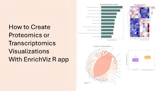 How to Create Proteomics Transcriptomics or Metabolomics Visualizations With EnrichViz R App