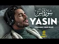 Download Lagu Relaxing Surah Yasin for Sleep, Depression, \u0026 Anxiety ✦ Yaseen سورة يس ✦ Majestic Quran ✦ Hejazi