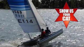 Show us your cat! Episode 114 USA USA and USA