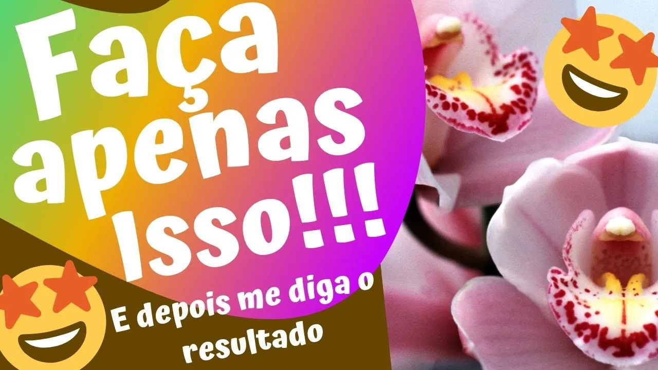 COMO CUIDAR DE ORQUÍDEAS PARA DAR FLORES FAÇA APENAS ISSO