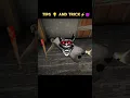 Download Lagu Granny Tips💡And tricks⚡😈 Troll Face Edit #granny #games #tips #tricks #trollface #shorts
