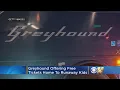 Greyhound Offers Free Bus Tickets Home To Runaway Kids