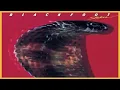 Blackfoot - Train, Train