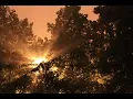 Johann Strauss - An der schonen blauen Donau