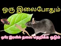 Download Lagu இந்த இலையில ஒரு முறை செஞ்சு பாருங்க \\ பல ஆயிரம் மிச்சம் /money savings tips in Tamil 