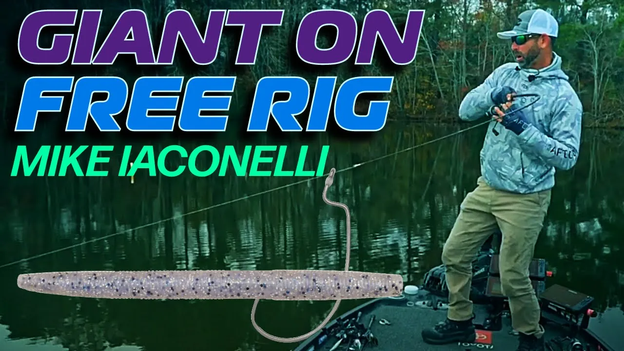 Winter Cold Water Soft Plastic Bass Fishing [Iaconelli's Secret Tip - "Don't Sleep on the Free Rig"]