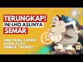 Download Lagu Semar: Punakawan Candi Majapahit, Naik Level Jadi Simbol Tauhid Jawa?