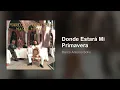 Marco Antonio Solís - Donde Estará Mi Primavera (Audio)