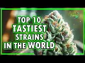 Breaking Top 10 Tastiest Weed Strains of 2025 FUNGI Co News