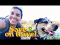 How to Travel for Free as a House Sitter